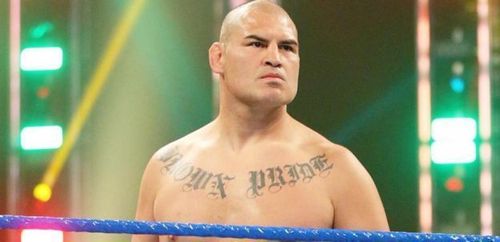 Cain Velasquez could do a lot of damage in the Royal Rumble.