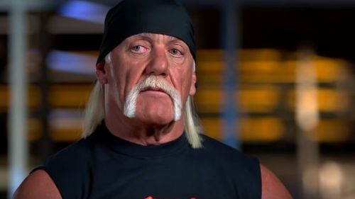 Hulk Hogan is a WWE Hall of Famer