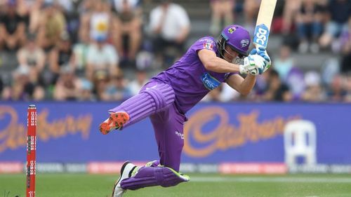 David Miller in action against Adelaide Strikers