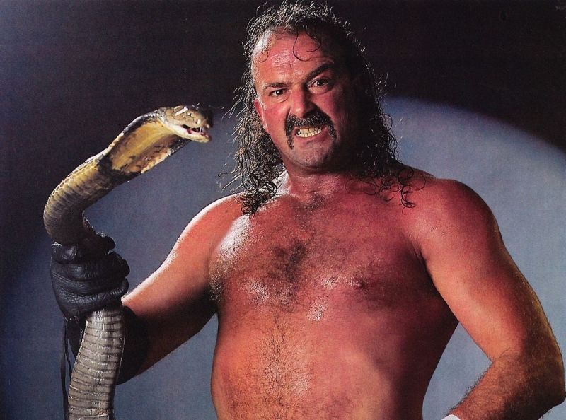 Jake Roberts is one of the most cerebral wrestlers in pro wrestling history.
