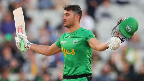 Marcus Stoinis celebrates