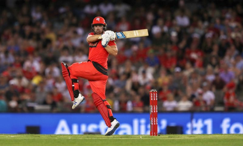 Aaron Finch is a welcome addition