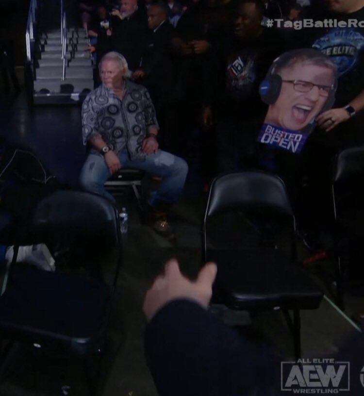 Raven during AEW Dynamite (Photo Credit: WrestlingNewsCo)