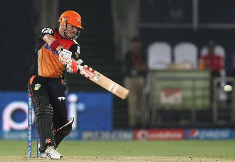 David Warner has enjoyed playing in the IPL