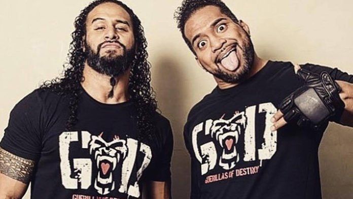 Tama Tonga and Tanga Loa, Guerrillas of Destiny