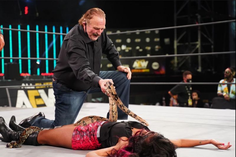 Jake Roberts drapes a snake over Brandi Rhodes