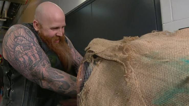 Erick Rowan&#039;s cage storyline ended with the revelation of a spider