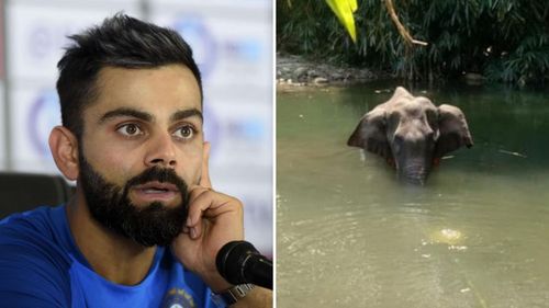 Virat Kohli reacted to the incident