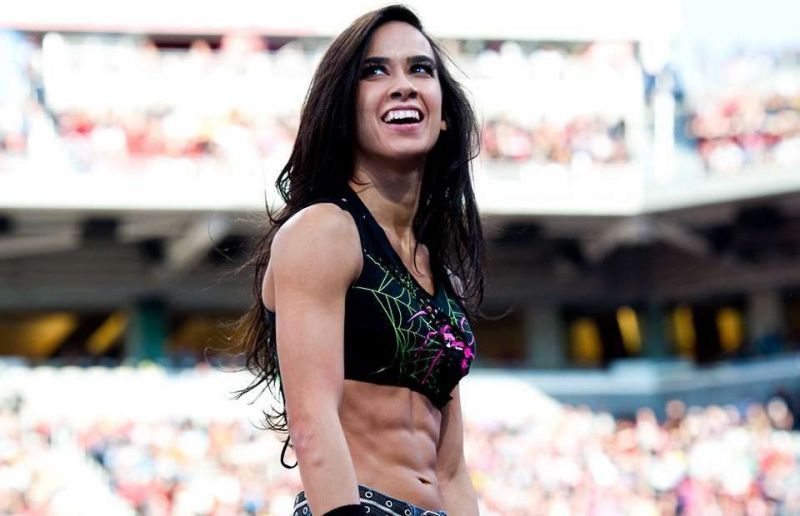 AJ Lee always spoke about the troubles she faced outside WWE