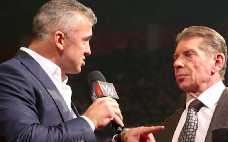 Vince McMahon and Shane McMahon&#039;s reaction led to Hurricane&#039;s catchphrase