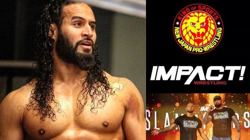 Tama Tonga has had his say!