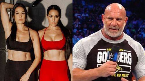 The Bella Twins (left); Goldberg (right)