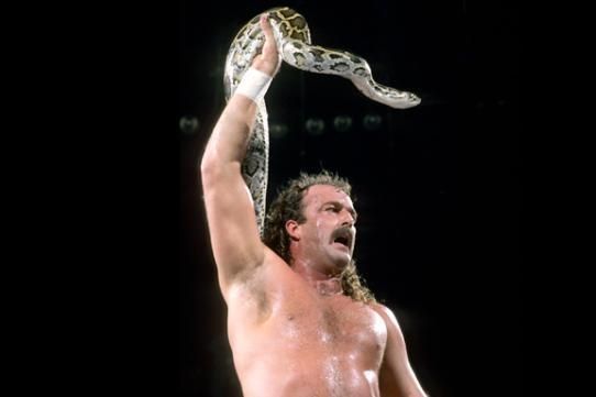 Jake Roberts