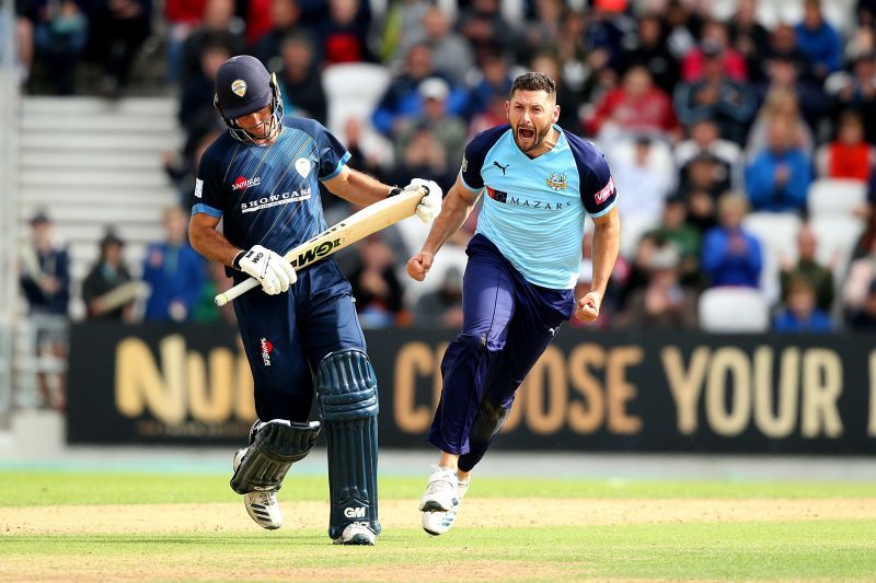 Former England all-rounder Tim Bresnan celebrates taking a wicket.
