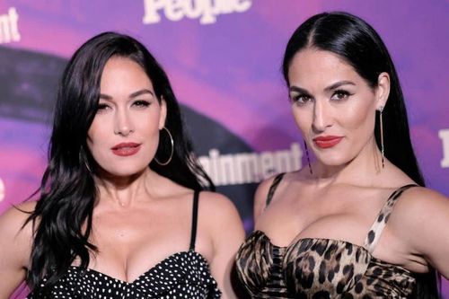 Brie Bella and Nikki Bella