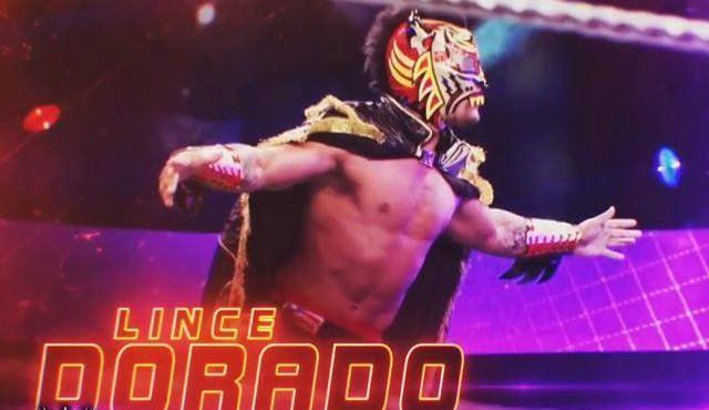 What is Lince Dorado hinting at?