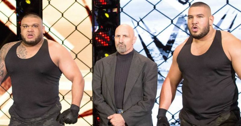 Paul Ellering, Akam and Rezar of The AOP.