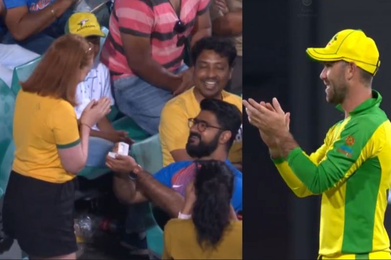 Glenn Maxwell congratulated the couple from the field