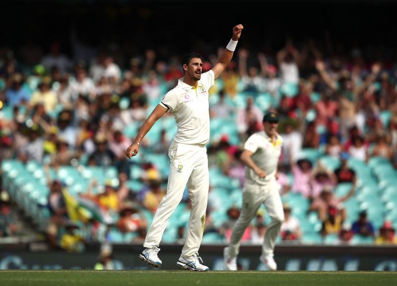 Mitchell Starc took 13 wickets in 4 Tests against India in 2018/19