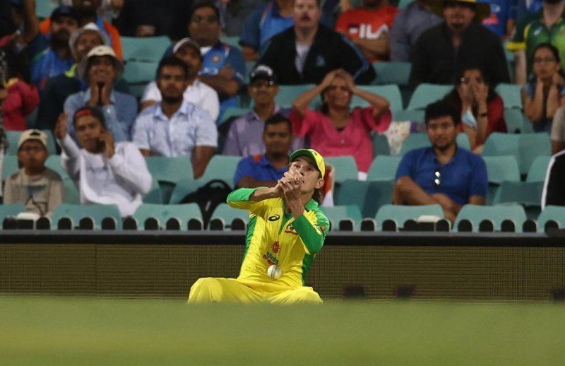 Adam Zampa drops Virat Kohli at Sydney. Pic: ICC/Twitter