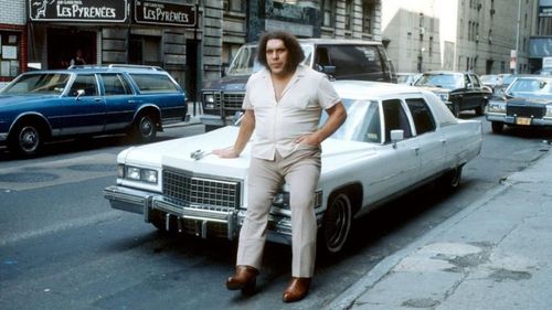 Andre the Giant is a WWE Hall of Famer