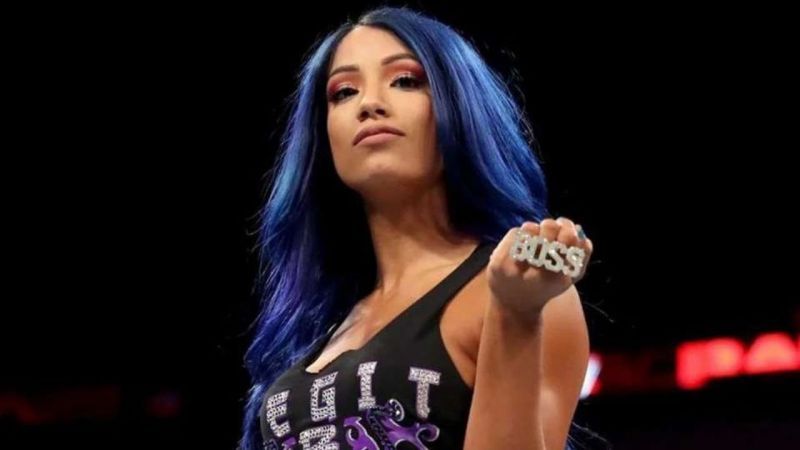 Sasha Banks still has a lot to accomplish, and she wants to win every title possible in WWE