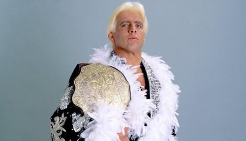 Ric Flair is a two-time WWE Champion and 16-time World Champion