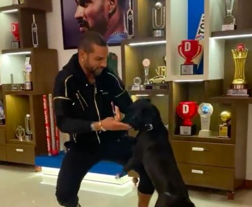 Shikhar Dhawan took to Instagram to share a hilarious dance video with his pet dogs.