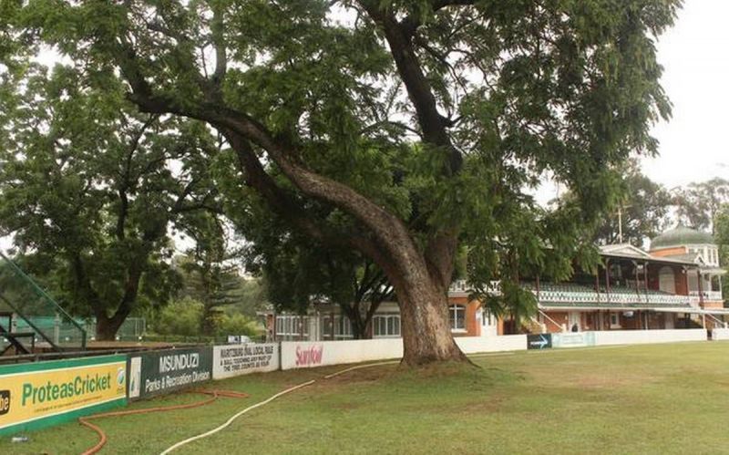 A cricket stadium in Pietermaritzburg, South Africa has a tree inside the ground (P/C: The Hindu)