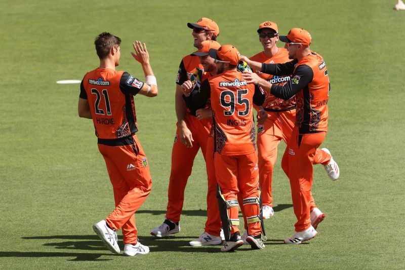 The Perth Scorchers are on the rise in the BBL standings