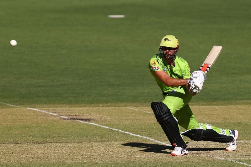 Ben Cutting has been a vital player for the Sydney Thunder this season