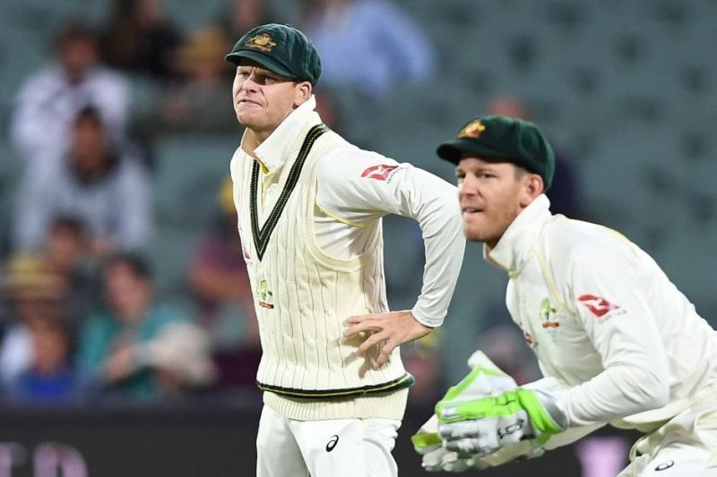 Steve Smith and Tim Paine