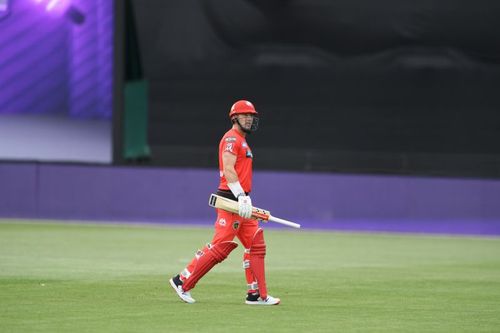 Shaun Marsh has scored 247 runs for the Melbourne Renegades this season.