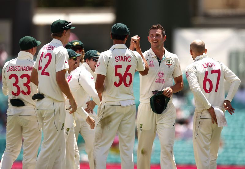 Australian players celebrate the fall of a wicket