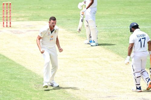 Josh Hazlewood celebrates as a dejected Rishabh Pant walks back