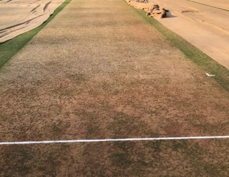 A photo of the Ahmedabad pitch for the Day-Night Test. Pic: Twitter