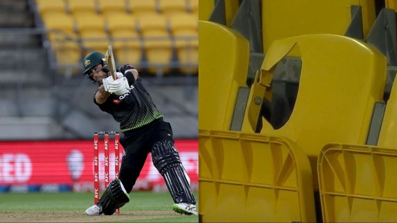 Glenn Maxwell destroyed the Kiwi bowlers in Wellington today