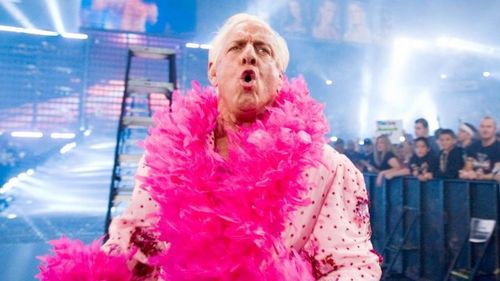 There are several surprising professional wrestlers that own a victory over "The Nature Boy" Ric Flair