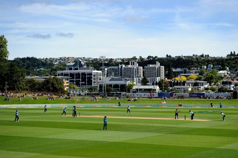 Dunedin has been a high-scoring venue