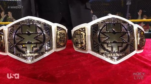 NXT Women's Tag Team Championship.