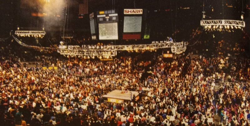 WrestleMania X held at Madison Square Garden in 1994