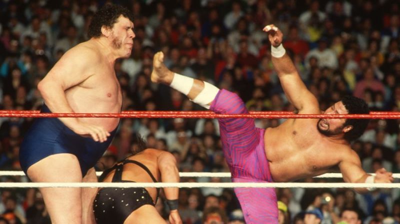 Haku (right) worked as Andre the Giant&#039;s tag team partner