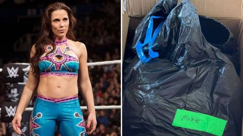 What did various people in the wrestling industry have to say today regarding WWE's treatment of Mickie James?