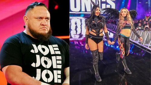 Samoa Joe, Billie Kay, and Peyton Royce have been released by WWE