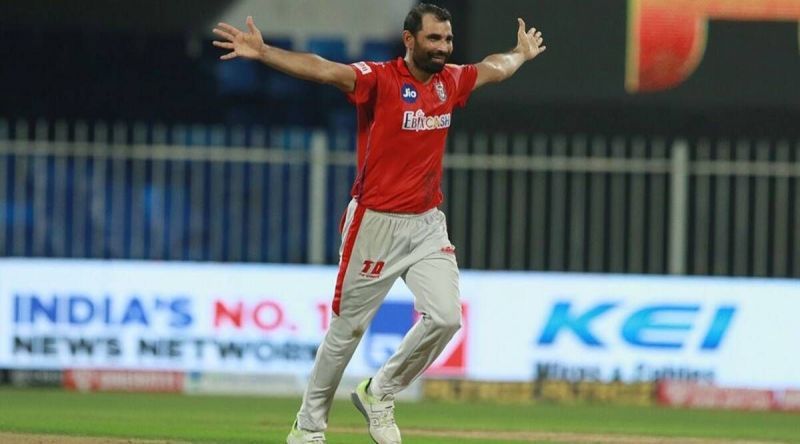 Shami celebrating a wicket in the IPL (Image Credit: Twitter)