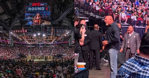 Goldberg was at UFC 262.