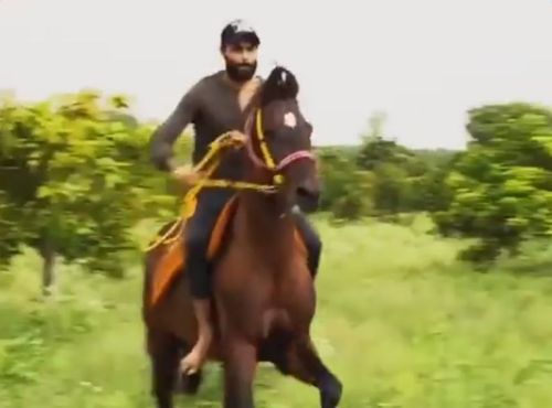 Ravindra Jadeja doing horse-riding. Pic: Ravindra Jadeja/ Twitter