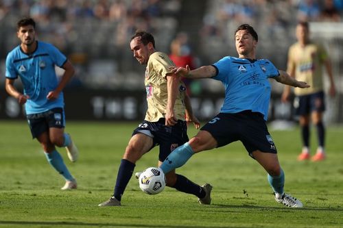 Sydney FC take on Newcastle Jets this weekend