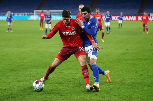 FC Schalke 04 v 1. FC Koeln - Bundesliga