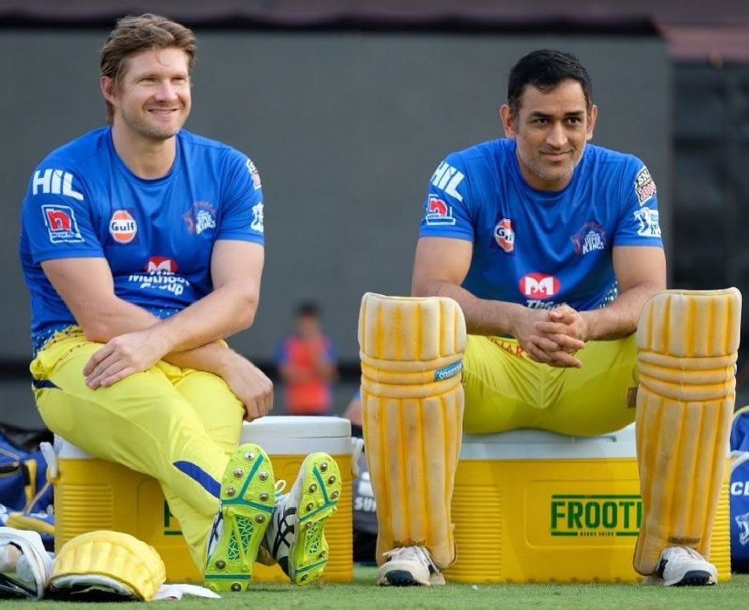 Shane Watson Net Worth ,Salary and Endorsements - Sportskeeda